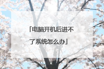电脑开机后进不了系统怎么办