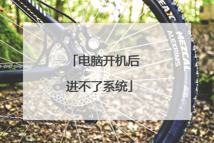 电脑开机后进不了系统