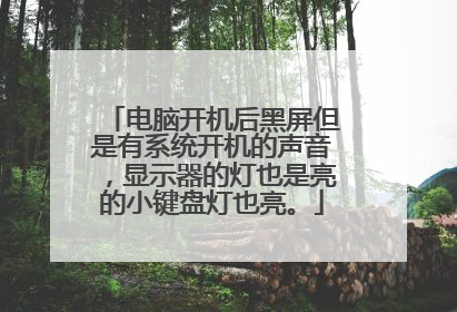 电脑开机后黑屏但是有系统开机的声音,显示器的灯也是亮的小键盘灯也亮。