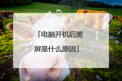 电脑开机后黑屏是什么原因