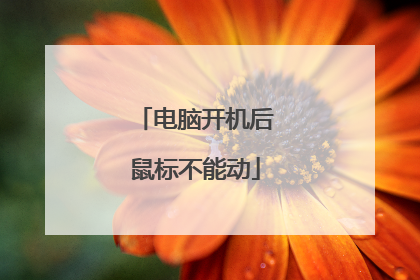 电脑开机后鼠标不能动