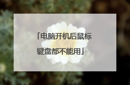 电脑开机后鼠标键盘都不能用