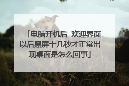 电脑开机后 欢迎界面以后黑屏十几秒才正常出现桌面是怎么回事
