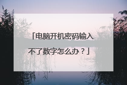 电脑开机密码输入不了数字怎么办？