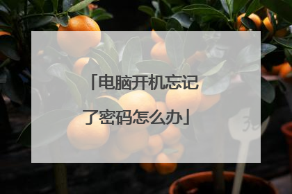 电脑开机忘记了密码怎么办