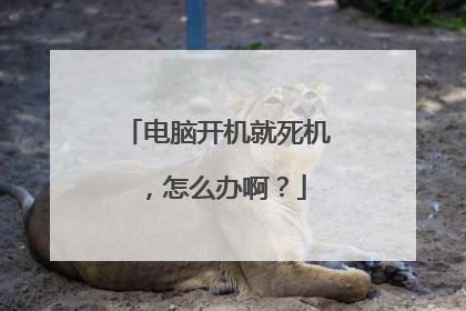 电脑开机就死机,怎么办啊?