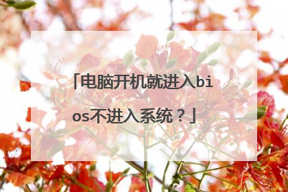 电脑开机就进入bios不进入系统?