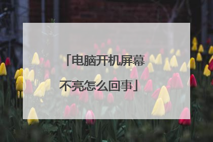 电脑开机屏幕不亮怎么回事