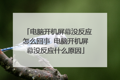 电脑开机屏幕没反应怎么回事 电脑开机屏幕没反应什么原因