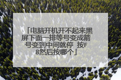 电脑开机开不起来黑屏下面一排等号变成箭号变到中间就停 按F8然后按哪个