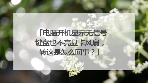 电脑开机显示无信号键盘也不亮显卡风扇,转这是怎么回事?