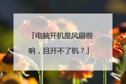 电脑开机是风扇很响,且开不了机?