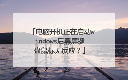 电脑开机正在启动windows后黑屏键盘鼠标无反应?