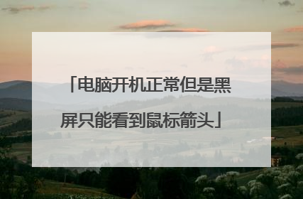 电脑开机正常但是黑屏只能看到鼠标箭头