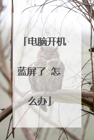 电脑开机蓝屏了 怎么办