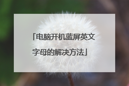 电脑开机蓝屏英文字母的解决方法