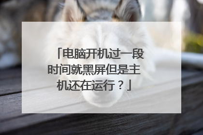 电脑开机过一段时间就黑屏但是主机还在运行？