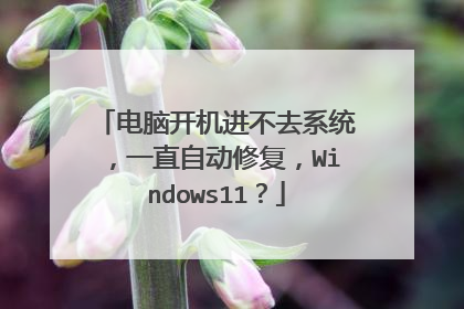 电脑开机进不去系统，一直自动修复，Windows11？
