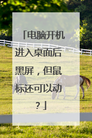 电脑开机进入桌面后黑屏，但鼠标还可以动？