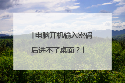 电脑开机输入密码后进不了桌面?