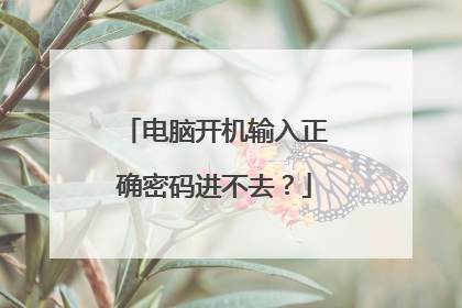 电脑开机输入正确密码进不去?