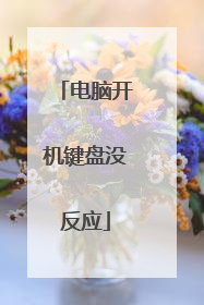 电脑开机键盘没反应