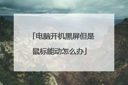 电脑开机黑屏但是鼠标能动怎么办