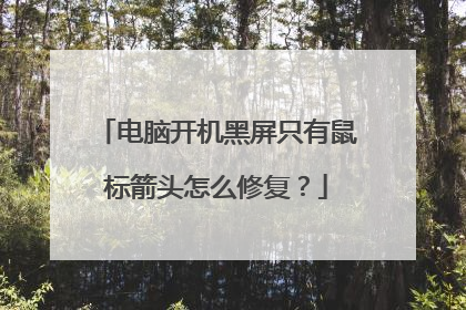 电脑开机黑屏只有鼠标箭头怎么修复？