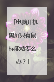 电脑开机黑屏只有鼠标能动怎么办?