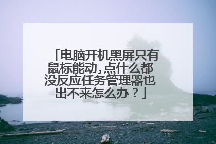电脑开机黑屏只有鼠标能动,点什么都没反应任务管理器也出不来怎么办?