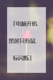 电脑开机黑屏只有鼠标闪烁