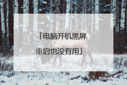 电脑开机黑屏重启也没有用