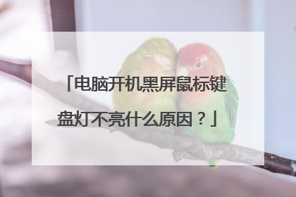 电脑开机黑屏鼠标键盘灯不亮什么原因？