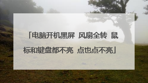 电脑开机黑屏 风扇全转 鼠标和键盘都不亮 点也点不亮
