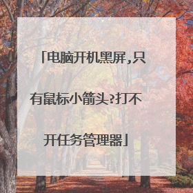 电脑开机黑屏,只有鼠标小箭头?打不开任务管理器