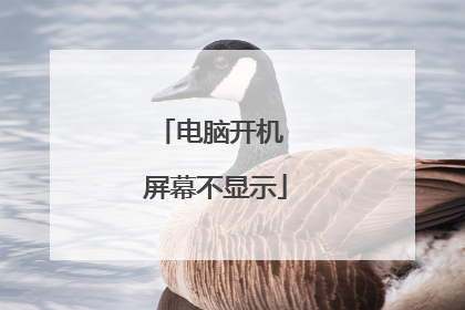 电脑开机 屏幕不显示