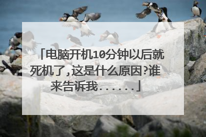 电脑开机10分钟以后就死机了,这是什么原因?谁来告诉我......