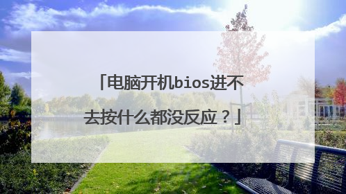 电脑开机bios进不去按什么都没反应?