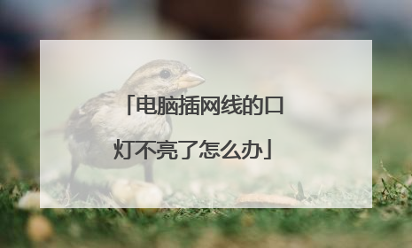 电脑插网线的口灯不亮了怎么办
