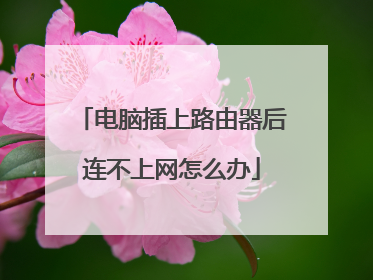 电脑插上路由器后连不上网怎么办