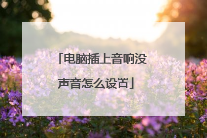 电脑插上音响没声音怎么设置