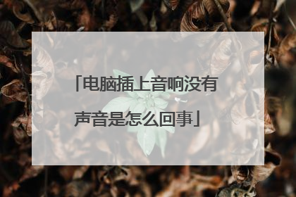 电脑插上音响没有声音是怎么回事