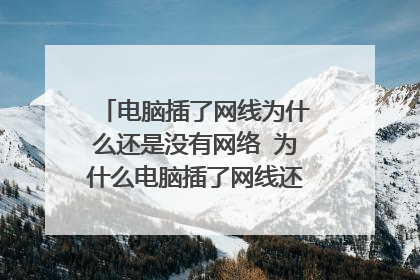电脑插了网线为什么还是没有网络 为什么电脑插了网线还是没有网络