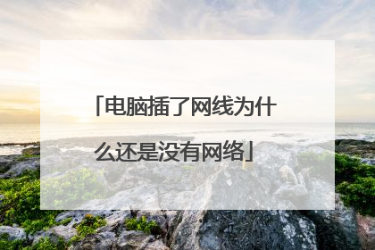电脑插了网线为什么还是没有网络