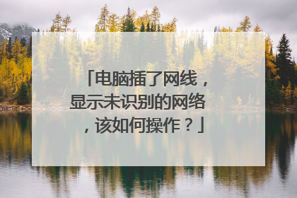 电脑插了网线，显示未识别的网络，该如何操作？
