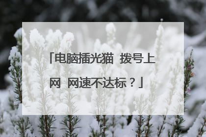 电脑插光猫 拨号上网 网速不达标?