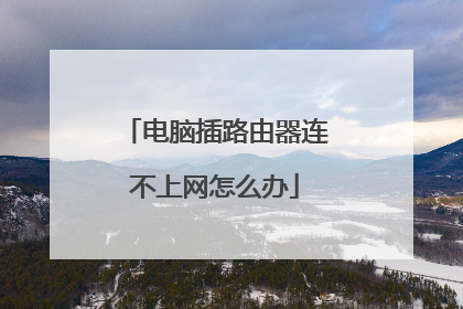 电脑插路由器连不上网怎么办