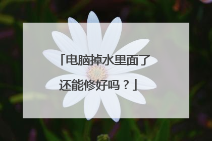 电脑掉水里面了还能修好吗?
