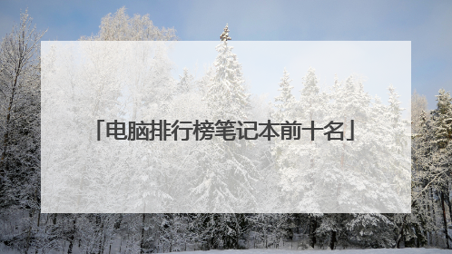电脑排行榜笔记本前十名