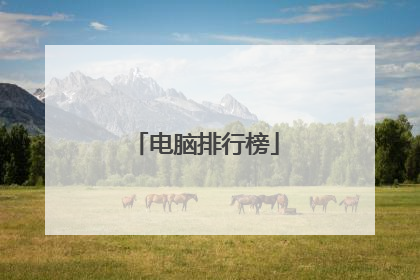 电脑排行榜